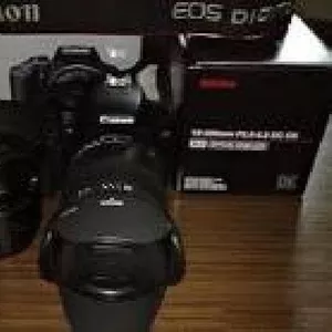 Canon EOS 5D Mark II Черный с Canon EF 24-105mm IS объектив