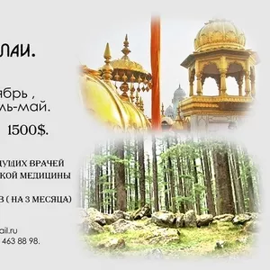 Индия. Гималаи. Диагностика,  лечение,  экскурсии,  проживание. 12 дней. 