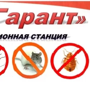 дезинфекция,  уничтожение тараканов,  крыс,  клопов,  мышей,  документация