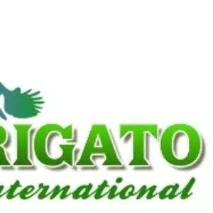 RiGaTo International. ГРУЗОПЕРЕВОЗКИ