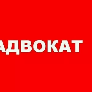 Адвокат. Консультации бесплатно