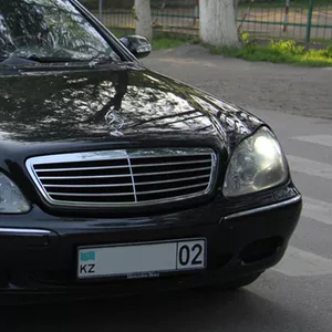 Автопрокат Aligator Almaty