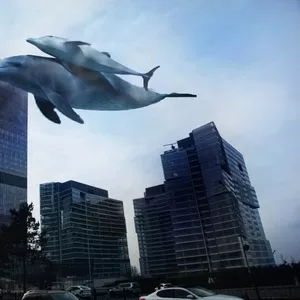 Whale In The Sky выездная фотостудия