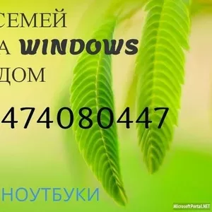 Ремонт компьютеров недорого в Семее! Выезд на дом! В любое время