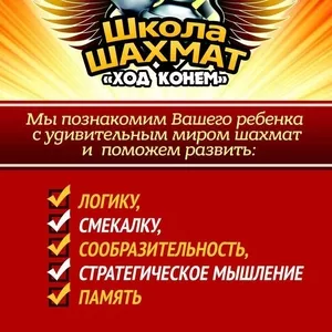 В городе Костанай открылся филиал школы по шахматам «Ход конем».