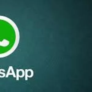 программа WhatsApp рассылок на 2 года