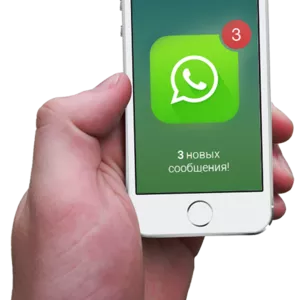 Программа для Whatsapp рассылки