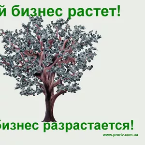 Набираем сотрудников в интернет-магазин