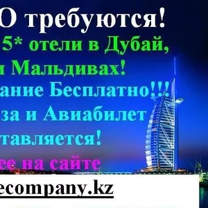 Работа в Дубае,  Катаре,  Турции,  Мальдивах и США!!!