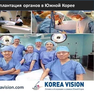 Трансплантация органов в Южной Корее Компания 