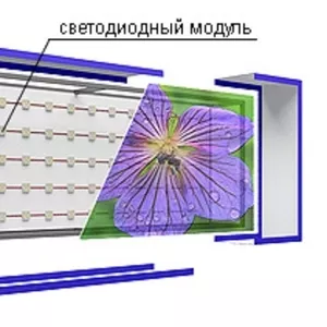 ЛАЙТБОКСЫ ПО ДОСТУПНОЙ ЦЕНЕ