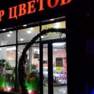 Сеть центров 