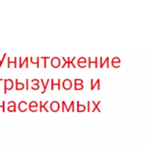 Уничтожение грызунов и насекомых - ДезГарант